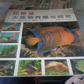热带鱼水族箱养殖与观赏