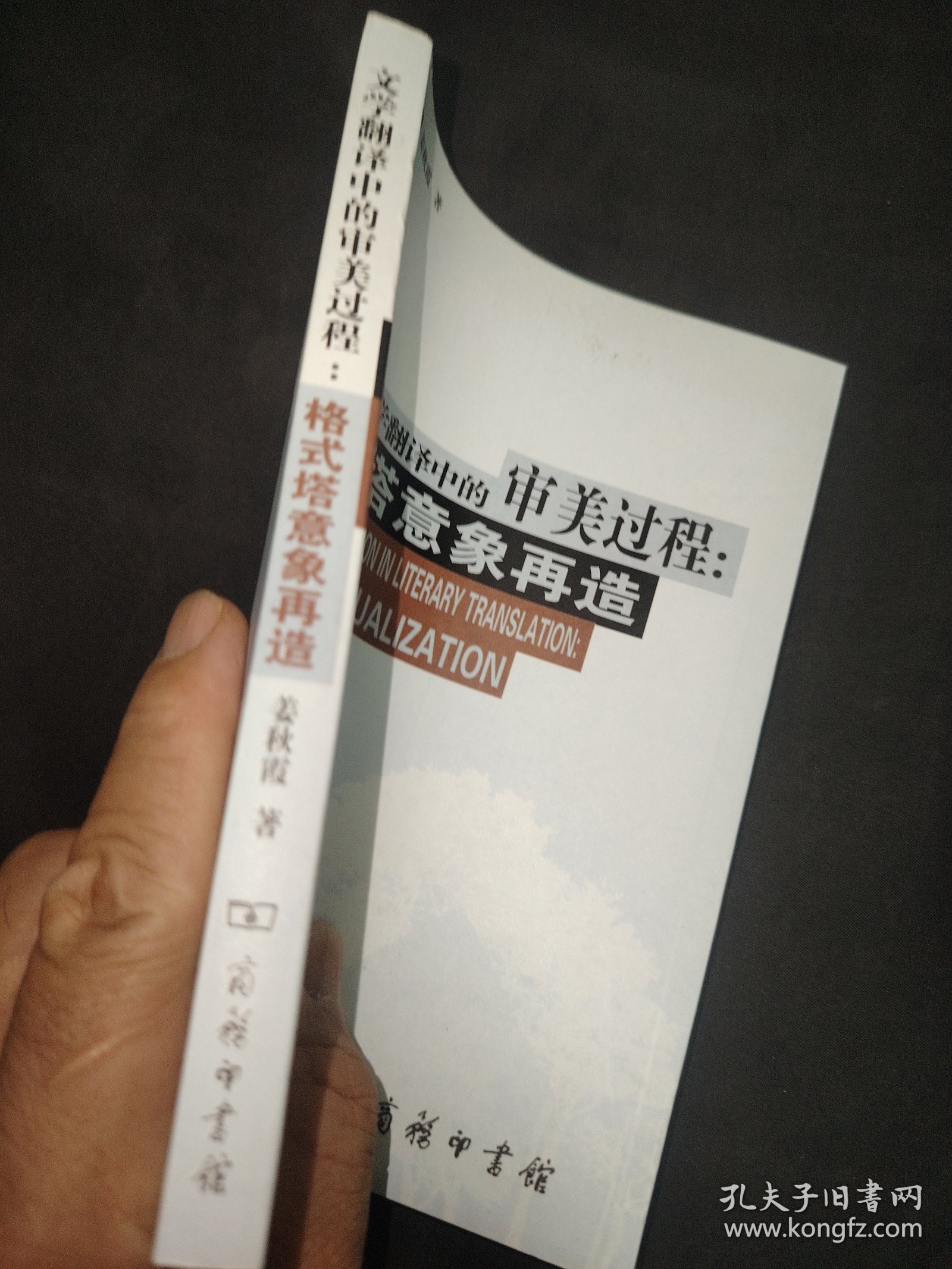 文学翻译中的审美过程：格式塔意象再造