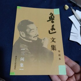 鲁迅文集（导读本）11