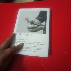 在黄昏起飞