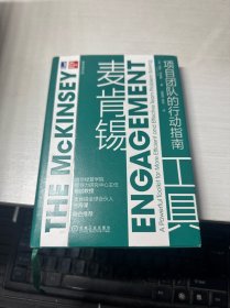 麦肯锡工具：项目团队的行动指南