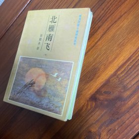 北雁南飞（上下）