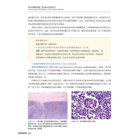 新华正版 淋巴结病理学图谱：基于模式的诊断方法 [美] Amy S. Duffield 9787504696441 中国科学技术出版社