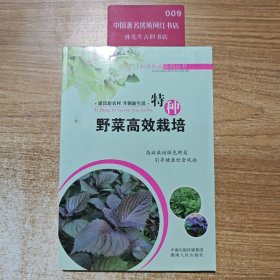特种野菜高效栽培