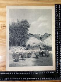 1946年法国出版物老照片印刷品——（大尺寸，正背面）——[DA01+B0006]——云南；北京五塔寺