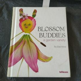 BLOSSOM BUDDIES