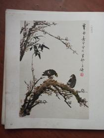 王雪涛画集