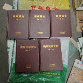 朔州民间文化＋朔州通史 全五册