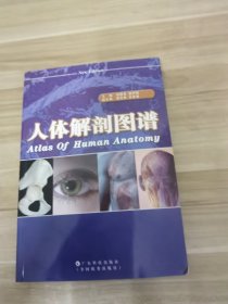 人体解剖图谱
