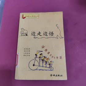 火狐狸小智慧丛书--边走边悟