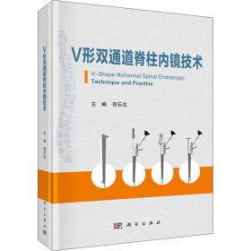 v形双通道脊柱内镜技术 外科  新华正版