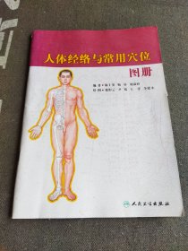 人体经络与常用穴位图册