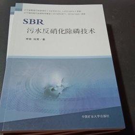 SBR污水反硝化除磷技术