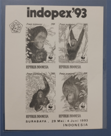印度尼西亚 1993年 世界野生动物基金会 WWF 红毛猩猩 小全张 印样