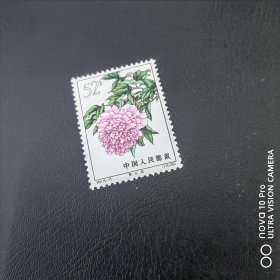 特61-15 牡丹邮票新票散票 纪特五朵金花之一！非常精美！包邮！全品