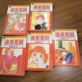 流星花园
