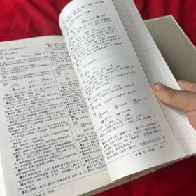 汉语大字典:简编本（1）