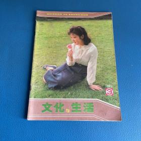 文化与生活1985年第3期