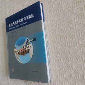脊柱内镜手术技巧与演示（附光盘DVD）