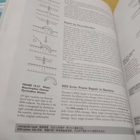 分子生物学（第2版）