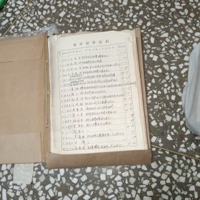 个人材料 伪警