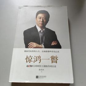 惊鸿一瞥：CCTV首席财经主播陈伟鸿自述