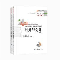 2019年税务师职业资格考试应试指导及全真模拟测试财务与会计上下册