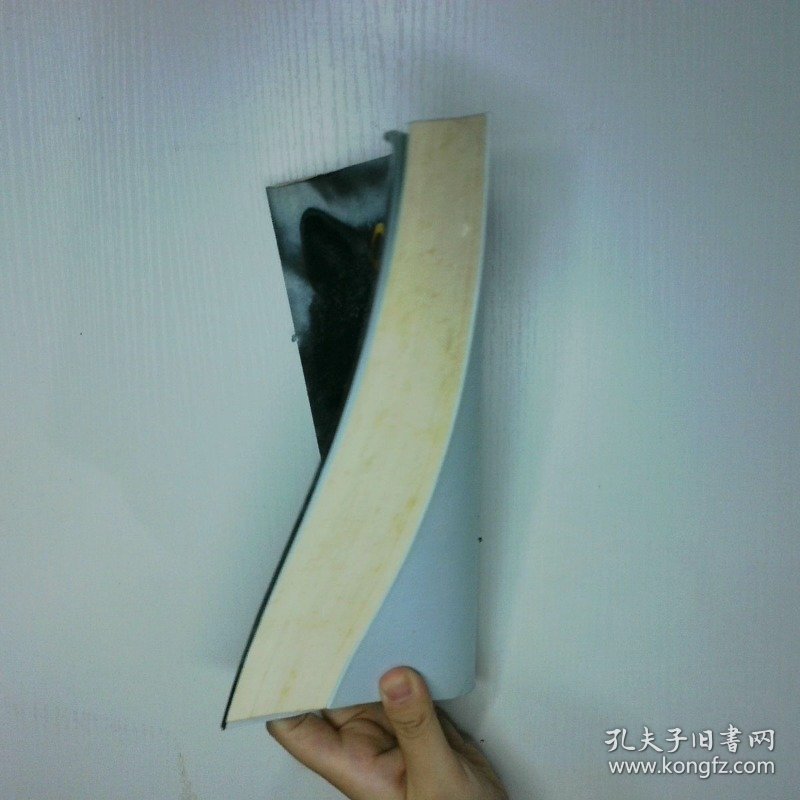 狼与狐 二手书实拍图