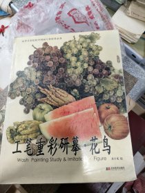 工笔重彩研摹：花鸟