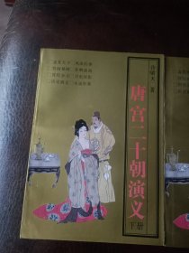 唐宫十二朝演义（上下册）