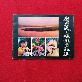 衡南美术摄影书法选（1980～1982）