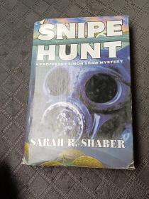 snipe hunt