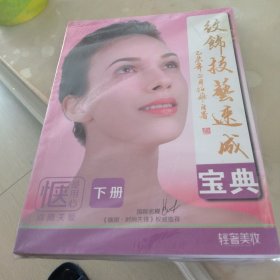 纹饰技艺速成宝典（上下）