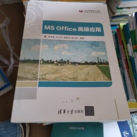 MS Office高级应用