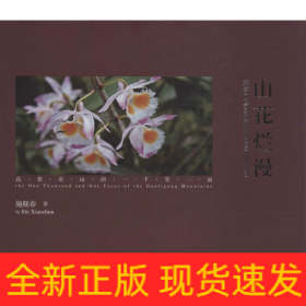 山花烂漫