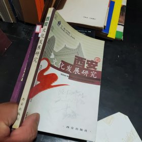西安文化发展研究