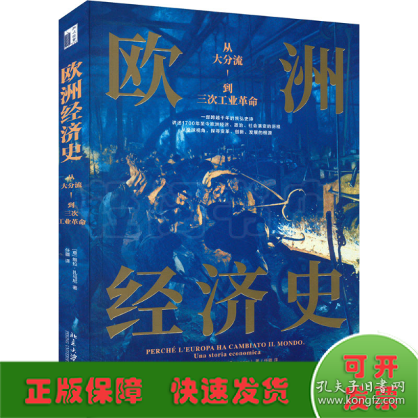 欧洲经济史：从大分流到三次工业革命 以全球视野，讲述1700年至今欧洲经济的故事