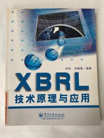 XBRL技术原理与应用