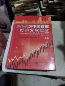 2019-2020中国省市经济发展年鉴上下