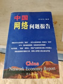 中国网络问题报告(书内有下划线具体见图)/CT25