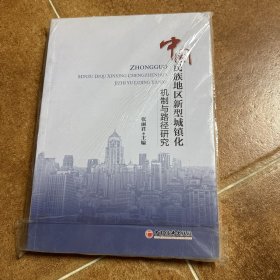 中国民族地区新型城镇化机制与路径研究