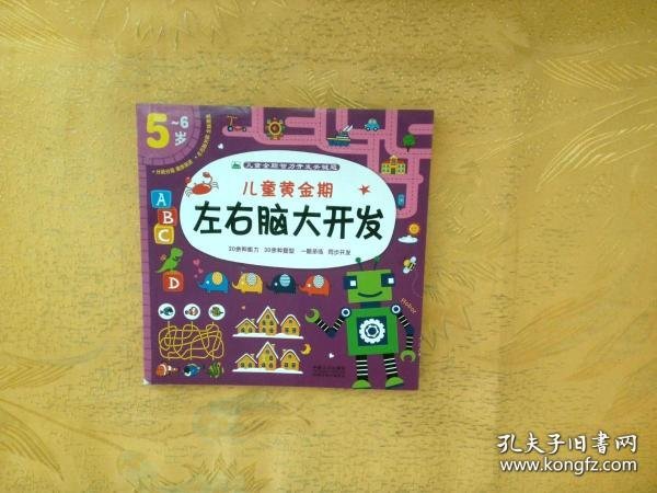 儿童黄金期左右脑大开发（5-6岁）/儿童全脑智力开发关键题