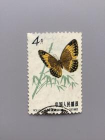 特56蝴蝶邮票一枚。20-3。信销中上品。有损。有薄。实图发货。