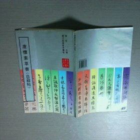 书法教学参考丛帖 唐怀素草书自叙帖