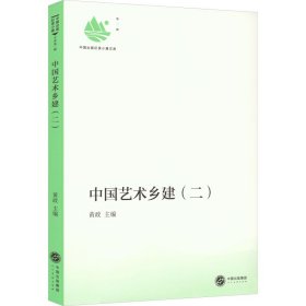 新华正版 中国艺术乡建(2) 黄政 编 9787102086996 人民美术出版社