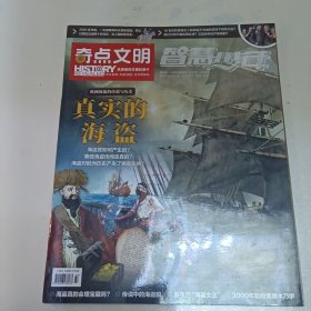 智慧少年 奇点文明 /杂志 登月机器2023.11真实的海盗