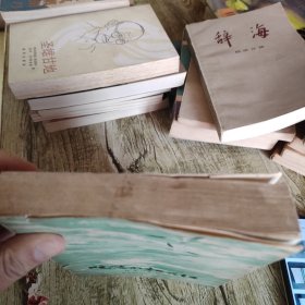 《咆哮的松花江》下 单本