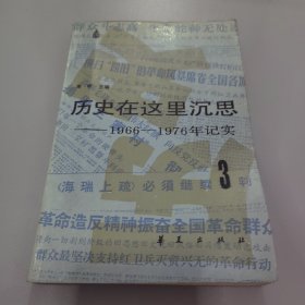 历史在这里沉思 1966 1976年记实 3