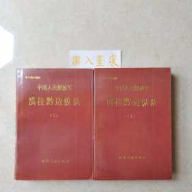 中国人民解放军 滇桂黔边纵队（上下两册全）