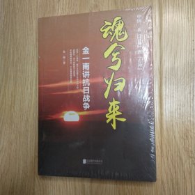 魂兮归来：金一南讲抗日战争